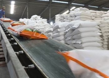 Đã có 163 thương nhân được cấp Giấy chứng nhận đủ điều kiện xuất khẩu gạo