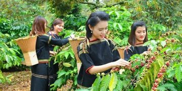 Bắc Âu tăng chuyển đổi xanh, cơ hội cho doanh nghiệp Việt