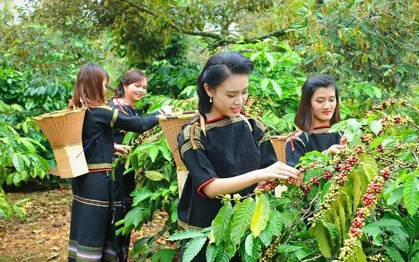 Bắc Âu tăng chuyển đổi xanh, cơ hội cho doanh nghiệp Việt