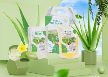 GC Food: Báo cáo tài chính năm 2025- kế hoạch sản xuất kinh doanh 2025