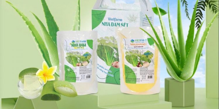 GC Food: Báo cáo tài chính năm 2025- kế hoạch sản xuất kinh doanh 2025