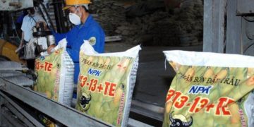 Công ty Cổ phần phân bón Bình Điền báo cáo tài chính năm 2025 đưa ra kế hoạch kinh doanh năm 2025