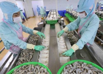 Thủy sản Việt Nam thúc đẩy phát triển bền vững, đa dạng hóa sản phẩm và thị trường xuất khẩu