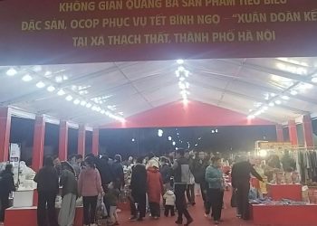 Hà Nội: Nhiều gia đình lựa chọn hội chợ xuân mua sắm phục vụ Tết Bính Ngọ 2026 – “Xuân Đoàn Kết
