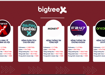 BigTreeX và cách dẫn dắt câu chuyện tài chính trở thành ‘công tắc’ dòng tiền”