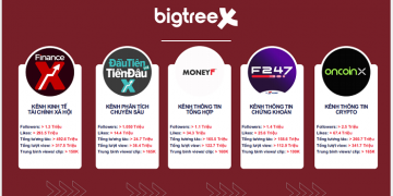 BigTreeX và cách dẫn dắt câu chuyện tài chính trở thành ‘công tắc’ dòng tiền”