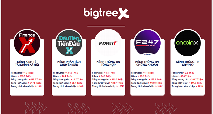BigTreeX và cách dẫn dắt câu chuyện tài chính trở thành ‘công tắc’ dòng tiền”