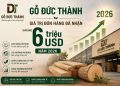 Gỗ Đức Thành ĐHĐCĐ thường niên 2026: Tăng trưởng  lợi nhuận hàng năm nhờ tối ưu vận hành