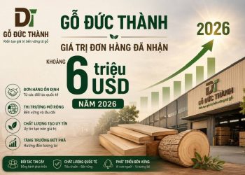 Gỗ Đức Thành ĐHĐCĐ thường niên 2026: Tăng trưởng  lợi nhuận hàng năm nhờ tối ưu vận hành