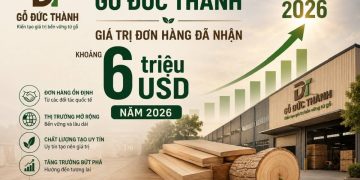 Gỗ Đức Thành ĐHĐCĐ thường niên 2026: Tăng trưởng  lợi nhuận hàng năm nhờ tối ưu vận hành