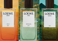 Top 3 mùi hương Elixir đình đám trong bộ sưu tập Landscape của LOEWE